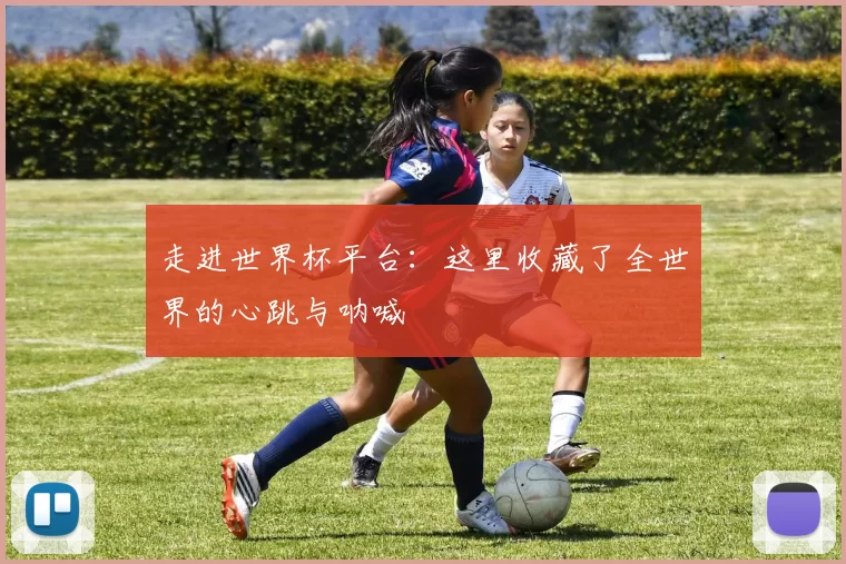 走进世界杯平台:这里收藏了全世界的心跳与呐喊