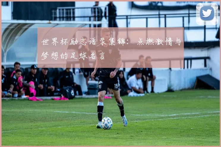 世界杯励志语录集锦：点燃激情与梦想的足球名言
