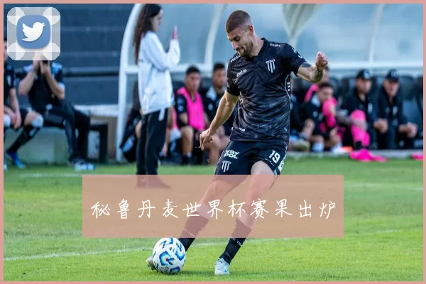 秘鲁丹麦世界杯赛果出炉