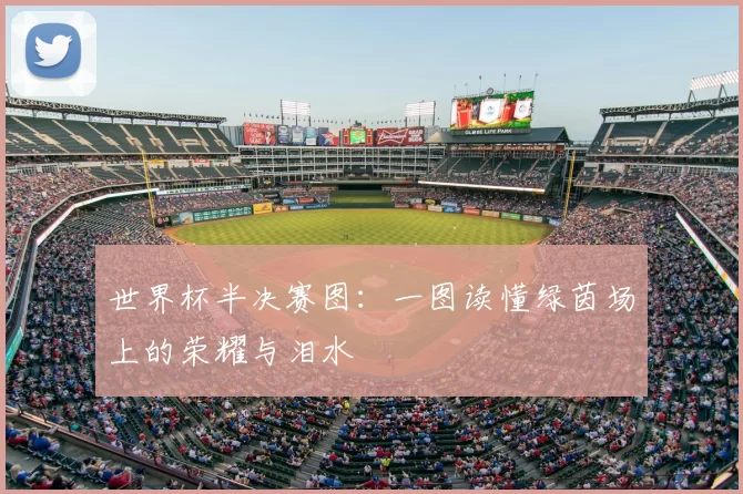 世界杯半决赛图：一图读懂绿茵场上的荣耀与泪水