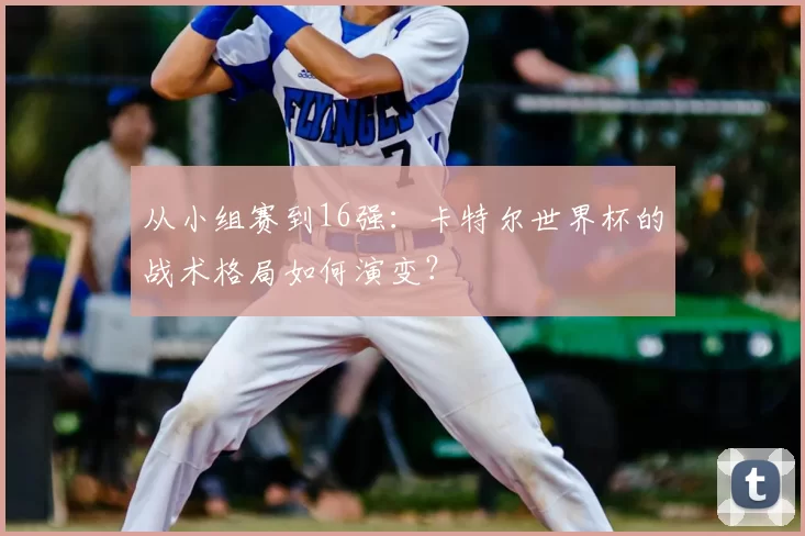 从小组赛到16强：卡特尔世界杯的战术格局如何演变？