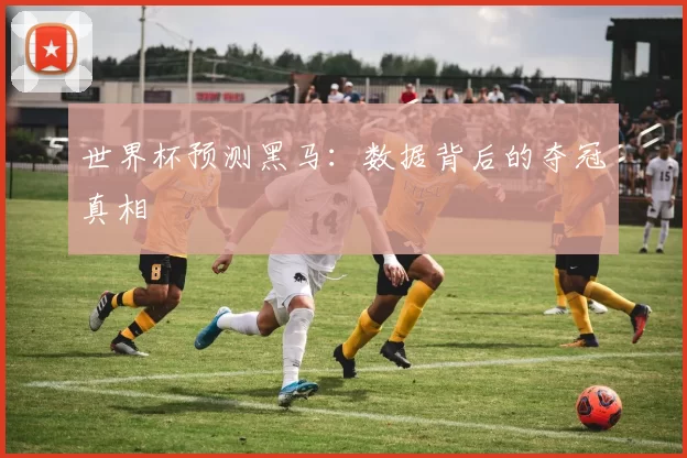 世界杯预测黑马:数据背后的夺冠真相