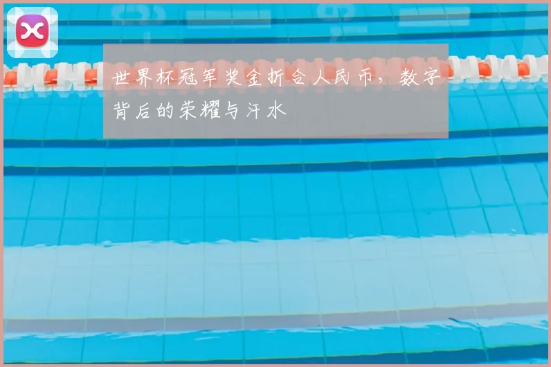 世界杯冠军奖金折合人民币,数字背后的荣耀与汗水