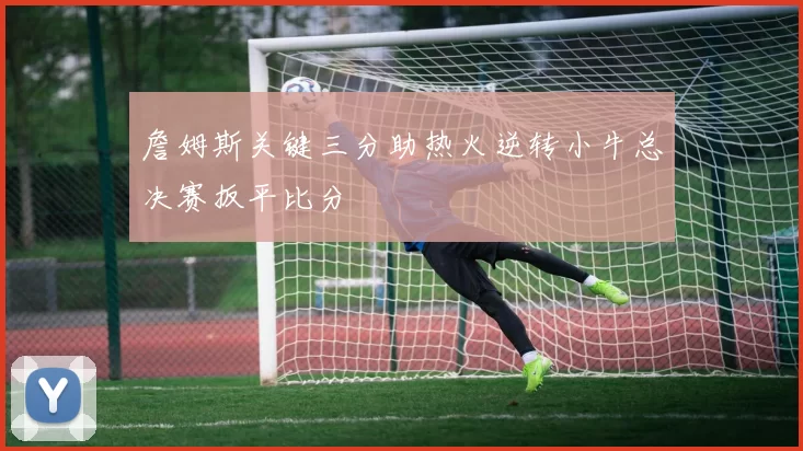 詹姆斯关键三分助热火逆转小牛总决赛扳平比分