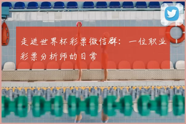走进世界杯彩票微信群:一位职业彩票分析师的日常