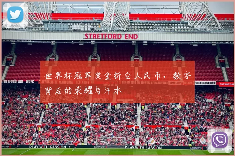 世界杯冠军奖金折合人民币，数字背后的荣耀与汗水